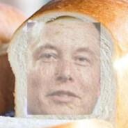 Elon Crust's Stream profile image