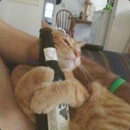 Me8ysmenos_Gatos's Stream profile image