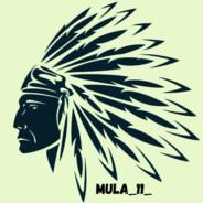 Mula_11's - Steam avatar