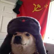 |OGTZ| SeteCordas's Stream profile image