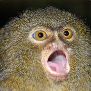 Africa_By_Toto's Stream profile image