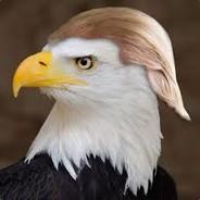 Eagle Trump's - Steam avatar