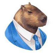 Capybara's - Steam avatar