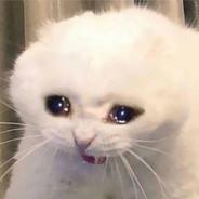 DefinitelyNotCat's Stream profile image