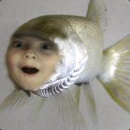 Feeshboi's - Steam avatar