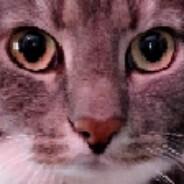 Caesar's Stream profile image