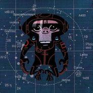 De Teuvenaar's - Steam avatar