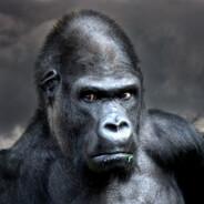 The Black Gorilla's Stream profile image