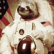 bulliedtoast's Stream profile image