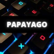 PapaYago's Stream profile image