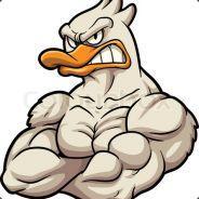 DUCKY's Stream profile image