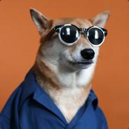 GruntDoggo's - Steam avatar