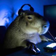 GuisoDePollo89's Stream profile image