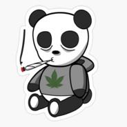 Panda ⭕⃤ ᠌'s - Steam avatar