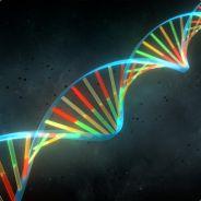 Sirlexa's - Steam avatar