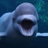 PlongoDongo's - Steam avatar