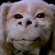 Falcor's Stream profile image