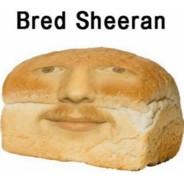 Bred Sheeran's - Steam avatar