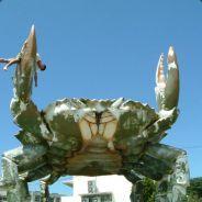 Mowen's Stream profile image