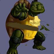 Tortuga's Stream profile image