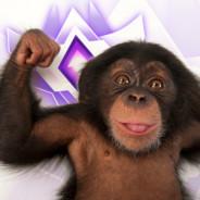 Grand Chimp's Stream profile image