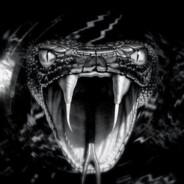 BlacK MaMba's Stream profile image