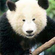 underpanda's - Steam avatar