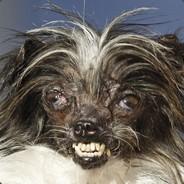 cssirkegamer's - Steam avatar