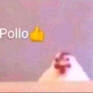 DUCK4's Stream profile image