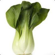 Minted's - Steam avatar