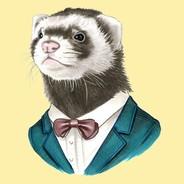 A Business of Ferrets's Stream profile image