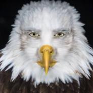 Come at the King's Stream profile image