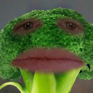 BroccoliBoy's Stream profile image