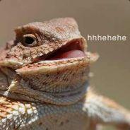 Demonheart's Stream profile image