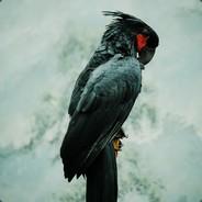 Natternkopf's - Steam avatar