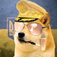 Dogelas MacArthur's Stream profile image