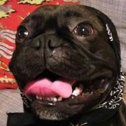 teleportingturtle's Stream profile image