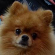 WeitDarn's Stream profile image