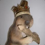 Salted Beaver's Stream profile image