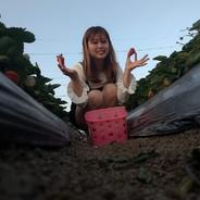 東方濤's Stream profile image