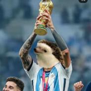 El Erizo's Stream profile image