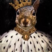 Squirrel Lord's - Steam avatar