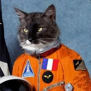 Astrocat's Stream profile image