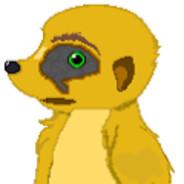 seawardmeerkat8's Stream profile image