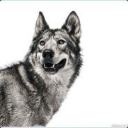 slayer16984's Stream profile image