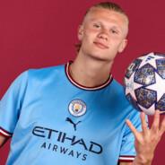 Erling Haaland's Stream profile image