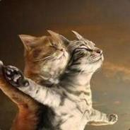 luckytiger's - Steam avatar