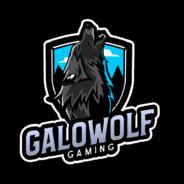 Galowolf07's Stream profile image