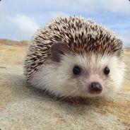 Bot Bob's - Steam avatar