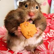 War_Hamster's Stream profile image